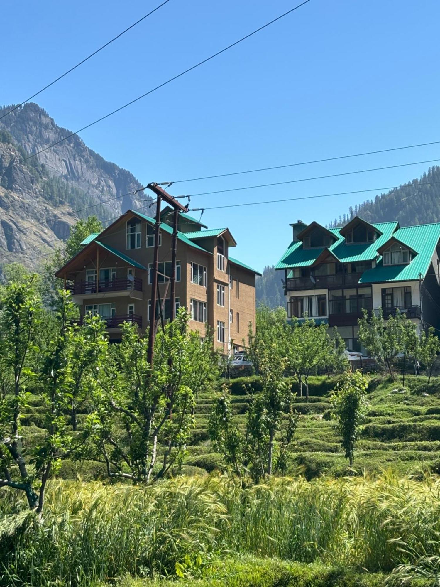 Juniper Homes - Manali (Himachal Pradesh) — Photos 1